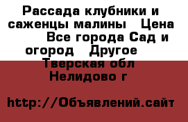 Рассада клубники и саженцы малины › Цена ­ 10 - Все города Сад и огород » Другое   . Тверская обл.,Нелидово г.